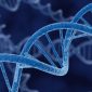 Genotoxic Impurities - SynThink