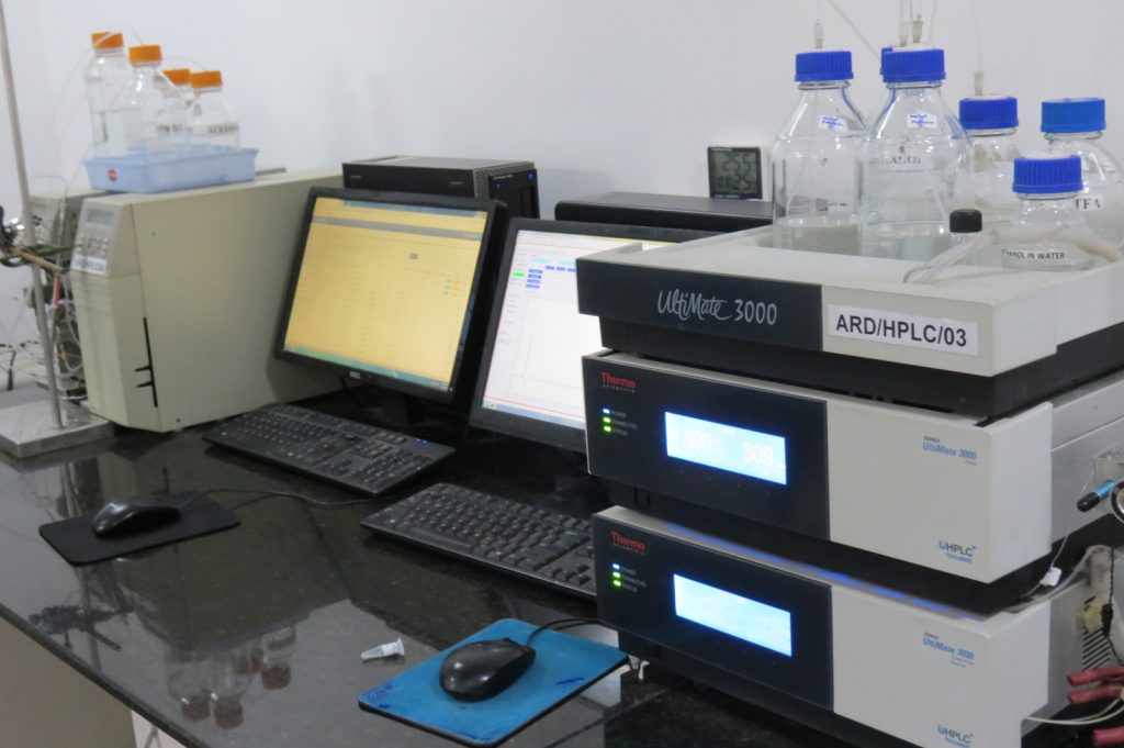 IMG 0117 1 1024x681 1